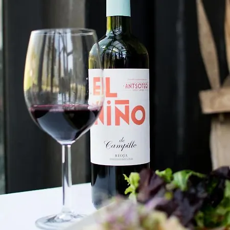 Hotel Antsotegi Etxebarria