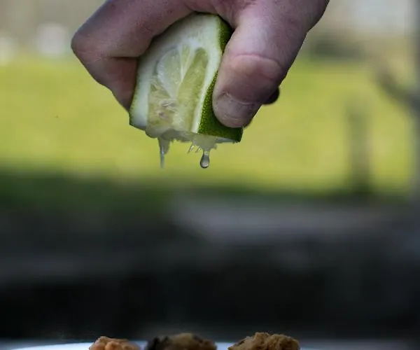 Antsotegi 2* Etxebarria